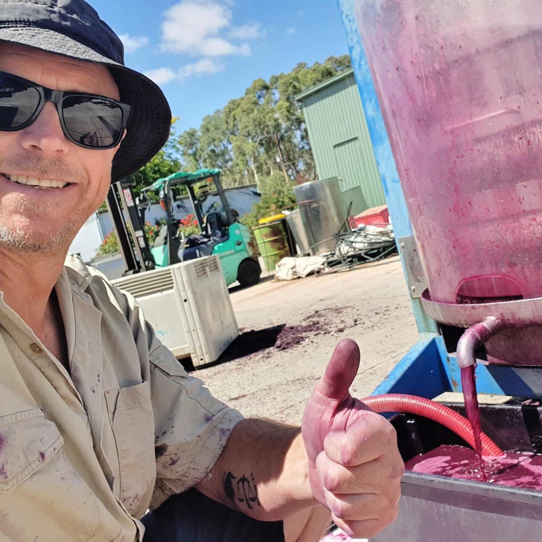 Old Vine Shiraz—2021 Our Most Awarded Wine