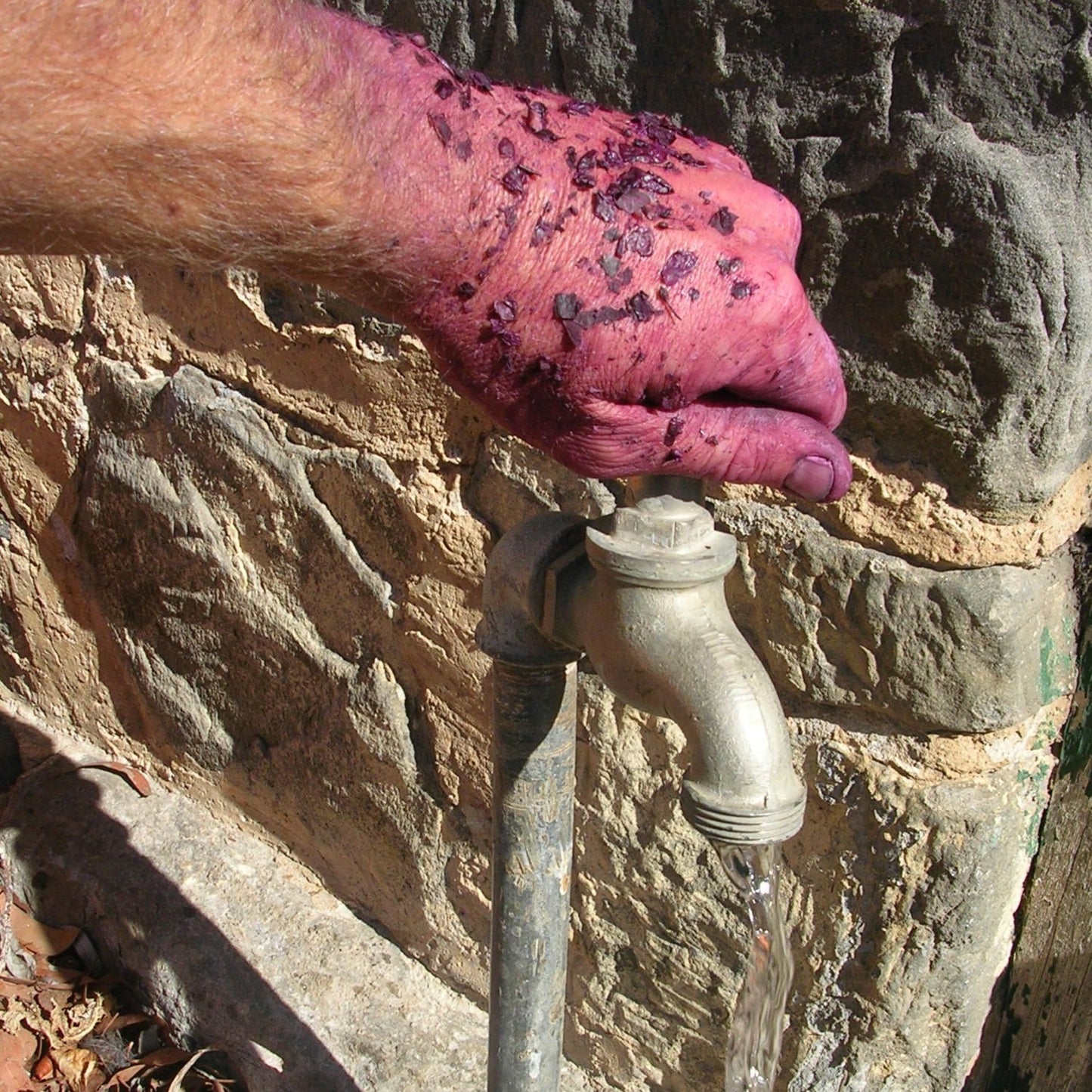 Old Vine Cabernet Sauvignon